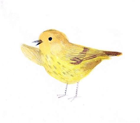 Jon Klassen On Twitter Yellow Bird Art Life Art Bird Art