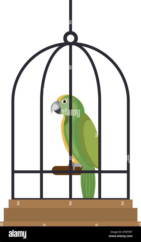 Cute Bird Parrot In Cage Mascot Stock Vector Image And Art Alamy