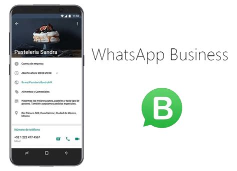 Gestión De Whatsapp Business Pura Web