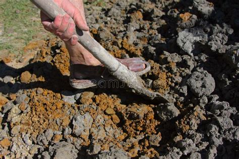 Digging The Soil Stock Photo Image Of Bumpkin Farmer 18308962