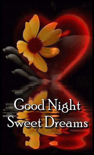 Reflection Night Sweet Dreams Animated Quote Pictures
