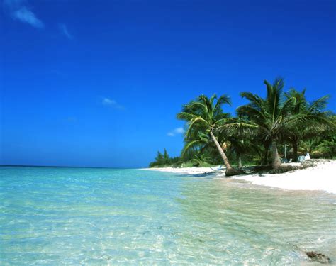 Browse 63 kuba strand stock photos and images available, or start a new search to explore more stock photos. Die besten Strände: Die besten Strände von Kuba