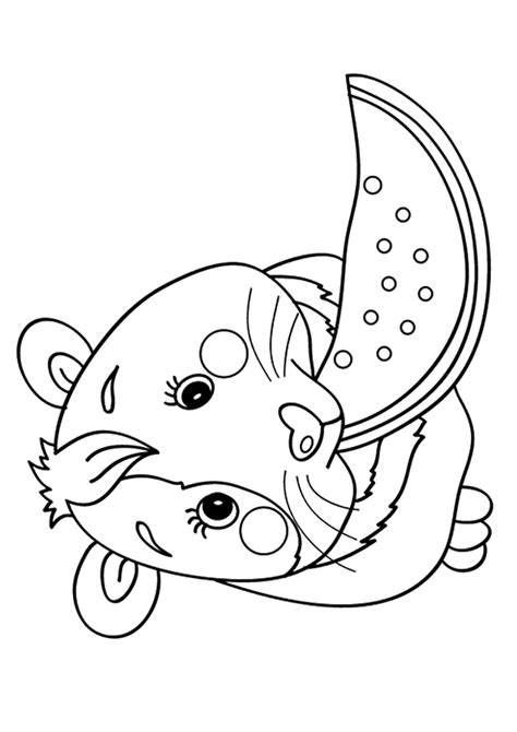 Kostenlose ausmalbilder von meerschweinchen zum ausdrucken für kinder. Meerschweinchen: Ausmalbilder & Malvorlagen - 100% KOSTENLOS