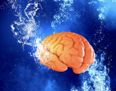 The Ocean Of Knowledge How Water Impacts Your Brain The Brain Bunch