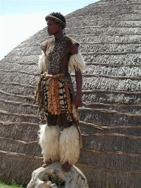 Zulu Wazulu Natal Province South Africa Tribal Costume Zulu Warrior African People