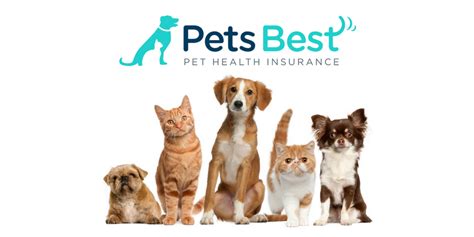 Pet insurance can ensure that you can afford the care your pet needs. The 9 Best Pet Insurance Plans of 2020