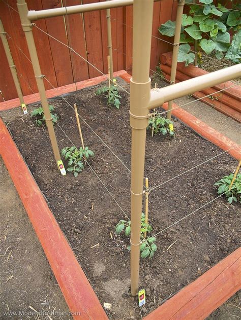 Pvc Tomato Trellis Raised Bed Construction Vegetable Garden Raised