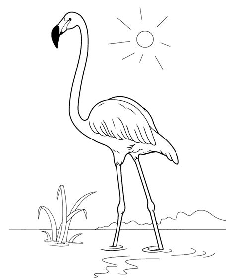 Der ausweis kann kostenlos heruntergeladen und ausgedruckt werden. Ausmalbilder, Malvorlagen - Flamingo kostenlos zum Ausdrucken | Märchen aus aller Welt, der ...
