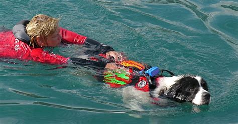 Menton Daily Photo The Sea Rescue Dogs