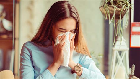 5 Weird Facts About Sneezingfrezyderm
