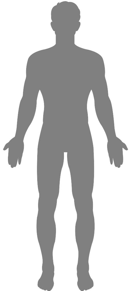 Male Body Silhouette Free Vector Silhouettes