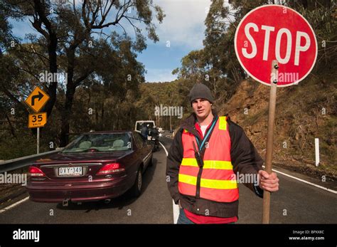 A Road Worker With A Stop Sign On The Great Ocean Road Near Lorne In