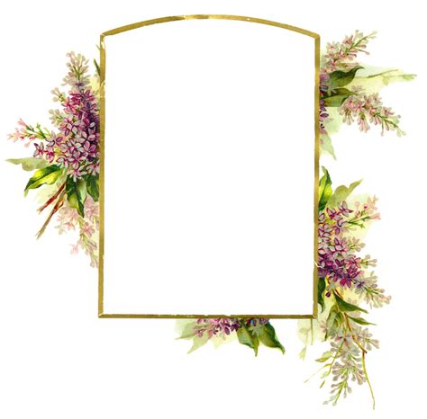 The Graphics Monarch Royalty Free Wisteria Flower Clip Art Border