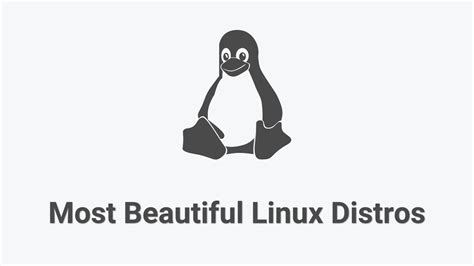 The 16 Most Beautiful Linux Distros In 2022 Edumotivation