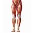 Level 1  3 Day Lower Body Advanced Muscle Reconstruction Class — Bluff