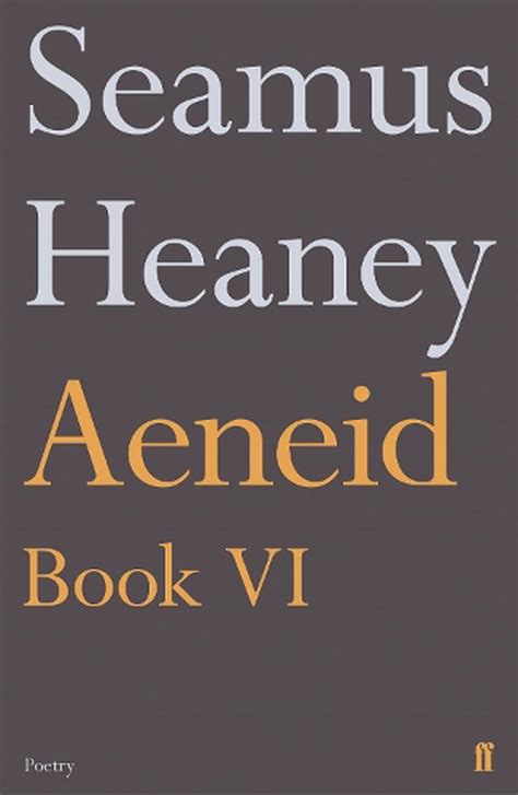 Aeneid Book Vi By Seamus Heaney English Paperback Book Free Shipping