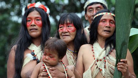 Indigene völker helfen beim kampf gegen klimawandel. Indigene Völker des Amazonas machen sich auf Coronavirus ...