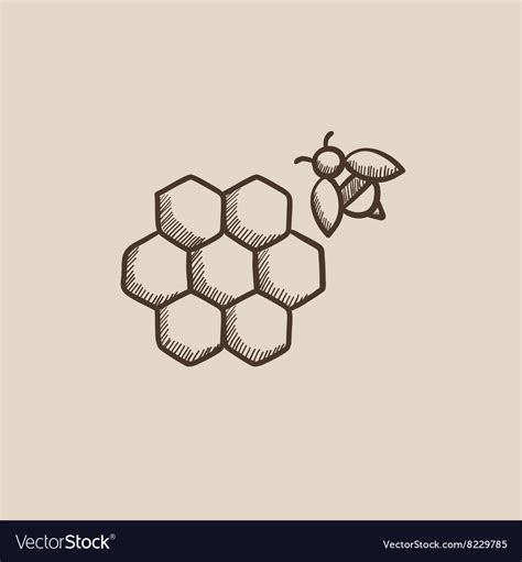 Honeycomb And Bee Sketch Icon Royalty Free Vector Image