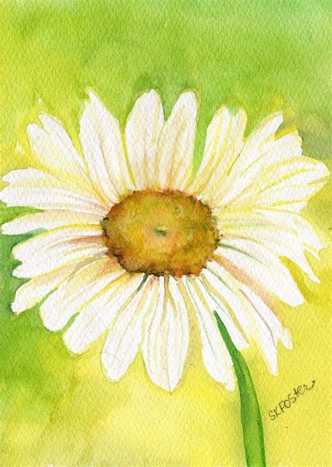 Shasta Daisy Watercolors Paintings Original 5 X 7 White Etsy Daisy