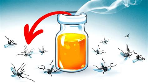 How to get rid of mosquitoes in your yard. 15 Natural Ways to Get Rid of Mosquitoes in Your Yard ...