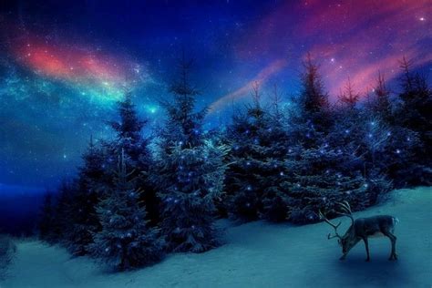 Christmas Scenery Backgrounds ·① WallpaperTag