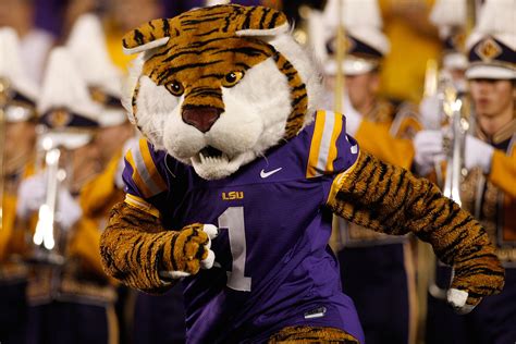 College Football The 18 Most Frequently Used Mascot Names In Ncaa