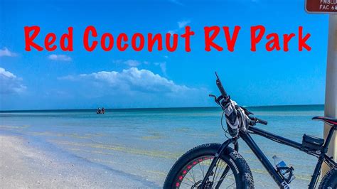 Red Coconut Rv Park Fort Myers Beach Roadtrippers My Xxx Hot Girl