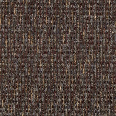 Maybe you would like to learn more about one of these? TrafficMASTER Social Network III - Color Coffee Bean Loop 12 ft. Carpet-0481D-25-12 - The Home Depot