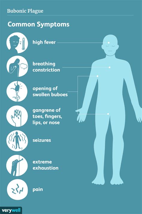 Bubonic Plague Symptoms Treatment And More