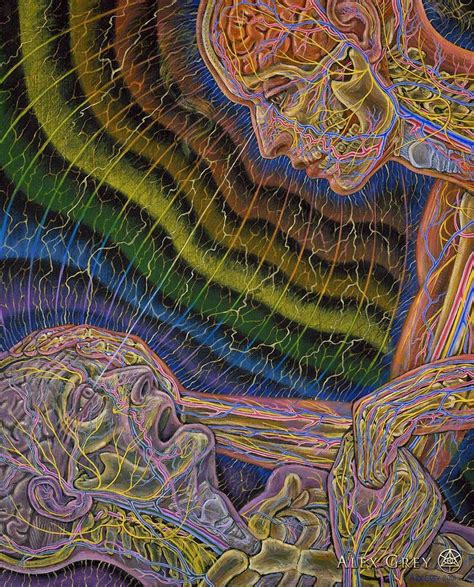 Paintings Of Alex Grey High Res Psy