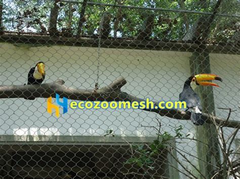 Enclosure Netting For Toucans Toucan Fence Netting Toucan Cage Netting