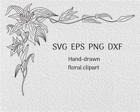 Floral Frame Svg With Hand Drawn Lily Flower Border Svg For Etsy