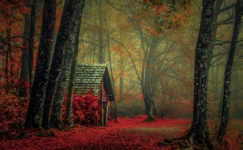 Cabin In Autumn Forest Hd Wallpaper Background Image 2000x1237 Id