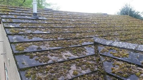 What Is The Best Moss Killer For Roofs GeraldkruwNewman