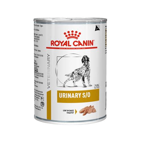Maybe you would like to learn more about one of these? Royal Canin Urinary S/O™ - Canned dog food / Direct-Vet