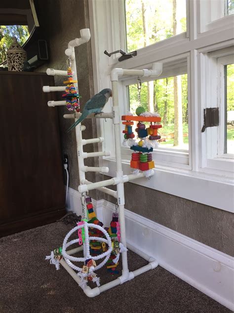 See more ideas about diy birds, bird perch, bird. 6c57be7c75290378a18301de5f460da4.jpg 1,200×1,600 pixels | Diy bird toys, Parrot toys, Bird toys