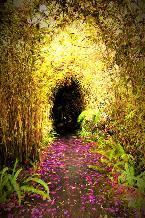 The Purple Path Photograph By Susan Rissi Tregoning Fine Art America