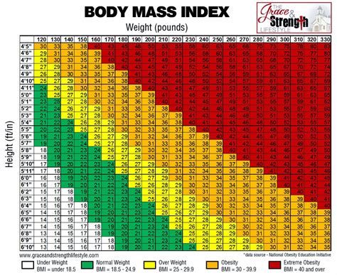 Bmi Body Mass Index Template Calculator