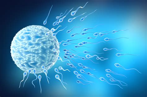 Semen And Sperm Analysis Male Infertility Urology Austin