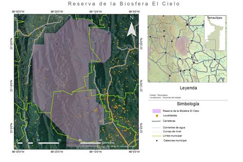 Reserva De La Biosfera De El Cielo El Lugar Más Biodiverso Del Norte