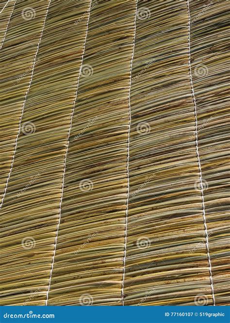 Straw Roof Texture Stock Image Image Of Shelter Palm 77160107