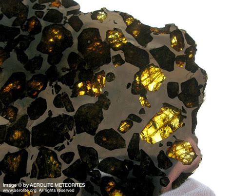 Detail Of The Esquel Pallasite Meteorite Found In Argentina Showing