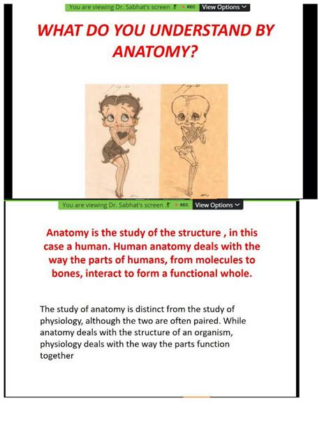 Solution Terminologies Anatomical Planes Anatomical Position Terms Of