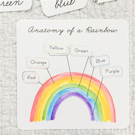 Anatomy Of A Rainbow Etsy
