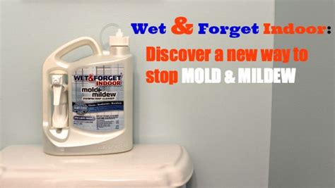 Wet And Forget Indoor Discover A New Way To Stop Mold And Mildew Mold
