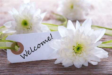 Flower Background With Welcome Stock Photo Image Of Flowers Banner