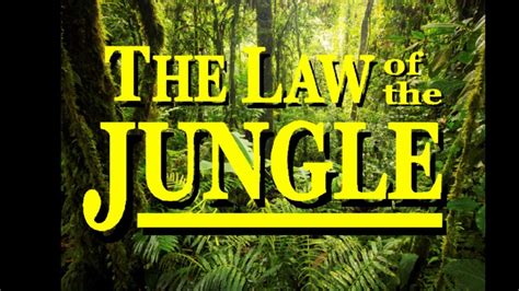 Watch and download law of the jungle episode 424 with english subtitle. The Jungle Book - The Law of the Jungle - YouTube
