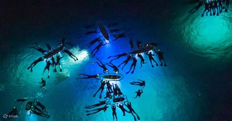Manta Ray Night Dive In Hawaii Klook United Kingdom