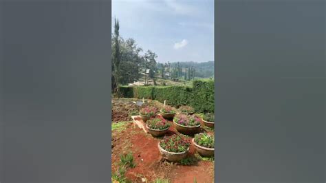 Karnataka Garden Ooty Youtube