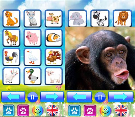 7 Best Animal Games For Kids